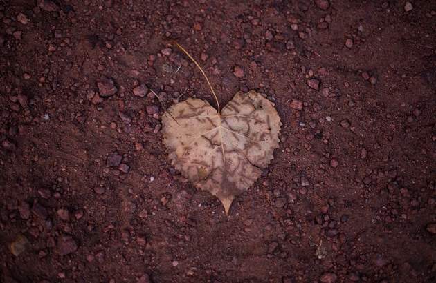 1000x650_blog_afbeeldingbodem