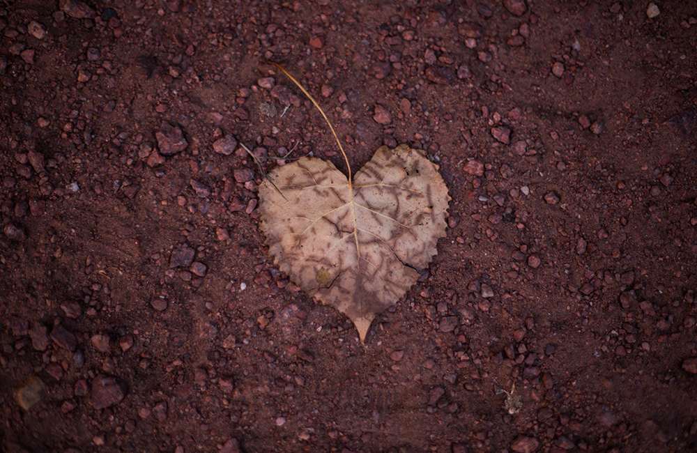 1000x650_blog_afbeeldingbodem