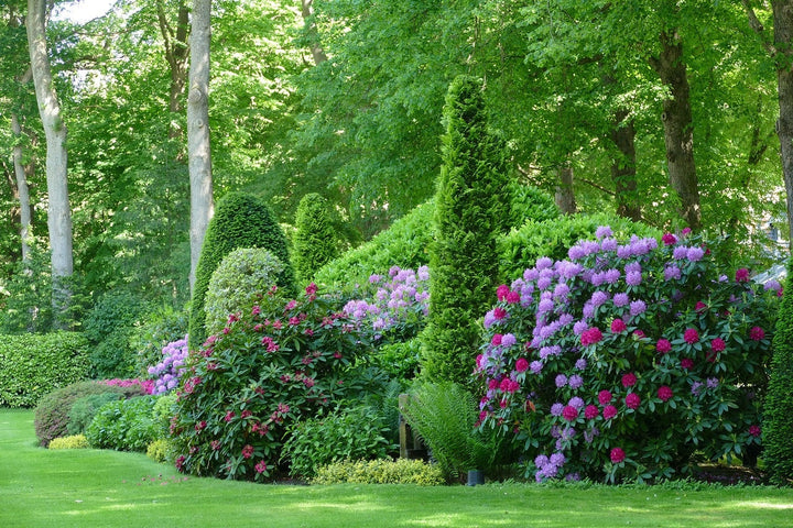 Beplantingsplan voor de tuin, waar moet je aan denken?