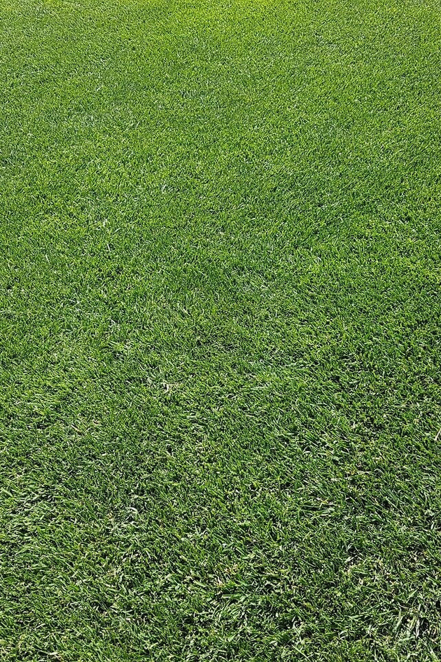 blog-gazon-aanleggen