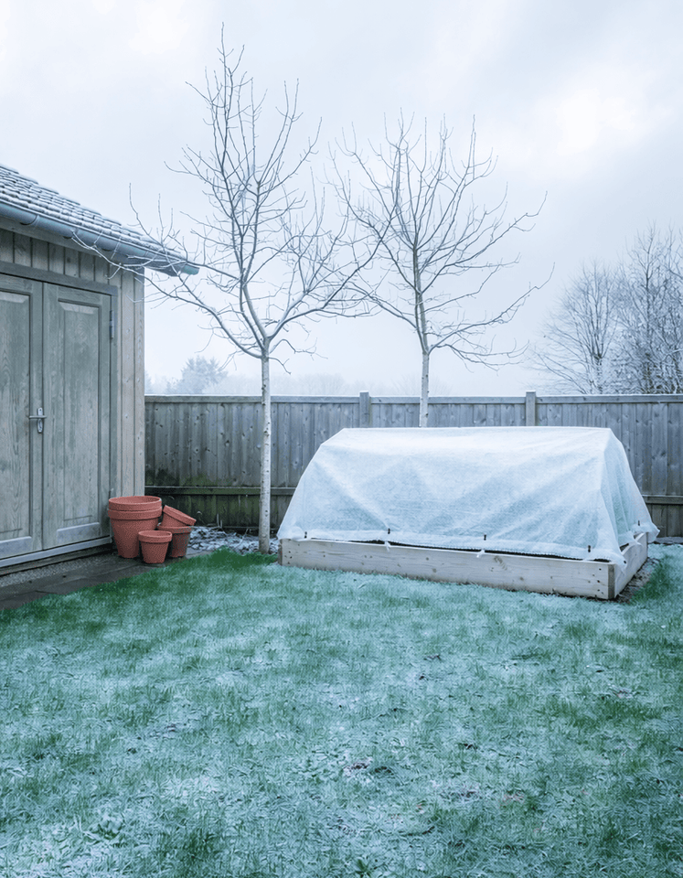 Gazononderhoud in december