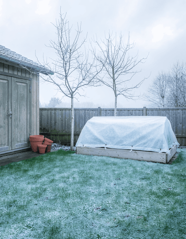 Gazononderhoud in december