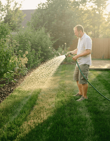 Gazononderhoud in juni