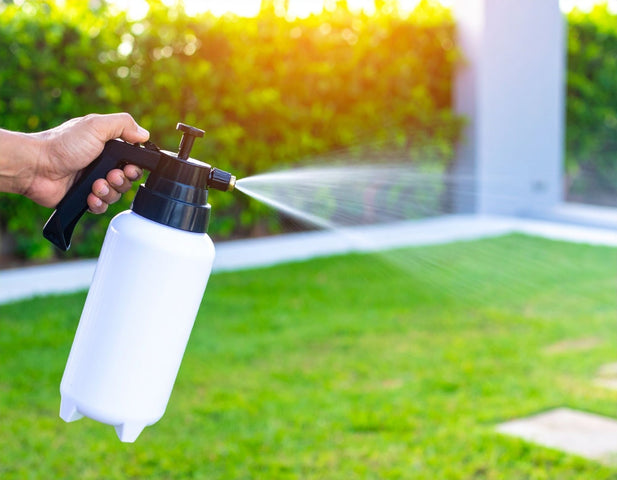 Hoe gebruik je aaltjes?