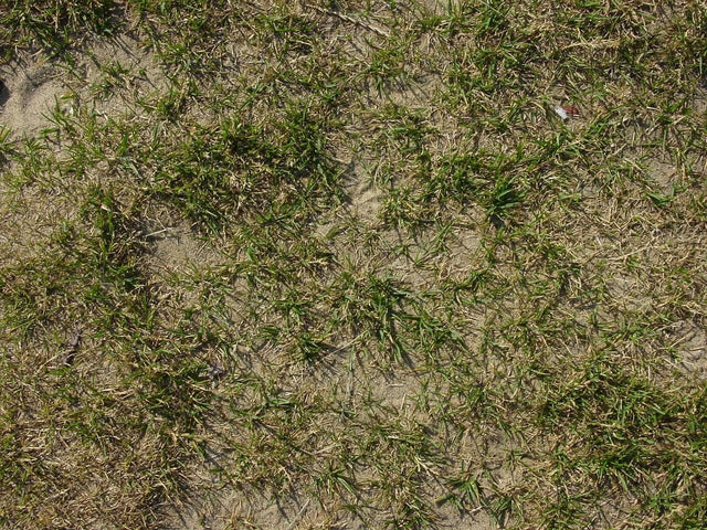 Hoe kun je het beste je oude gras verwijderen?