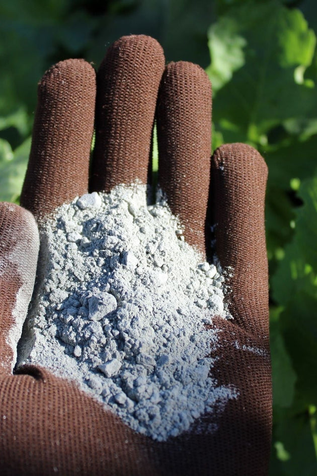 blog-lavameel-bodemverbeteraar-en-meststof