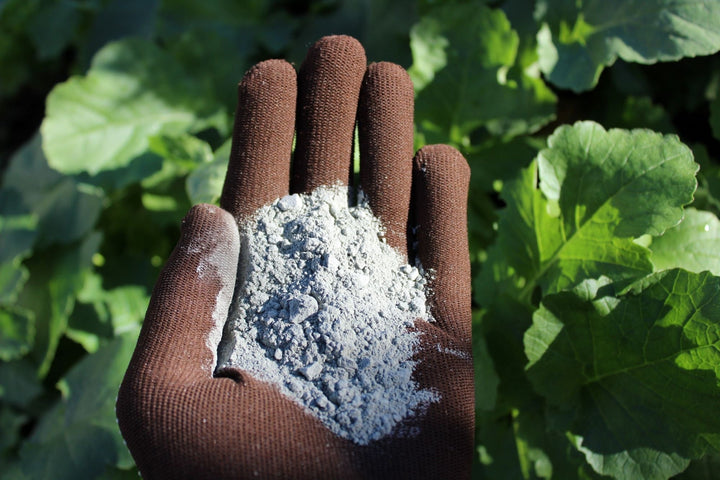 Wat is lavameel en waarvoor kun je het gebruiken?