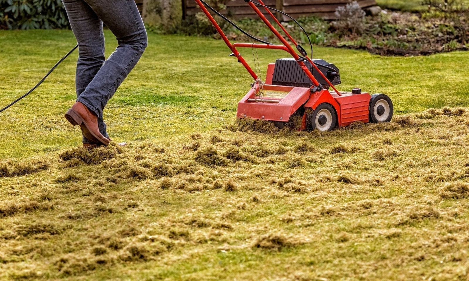 Het gras verticuteren, wanneer en hoe?