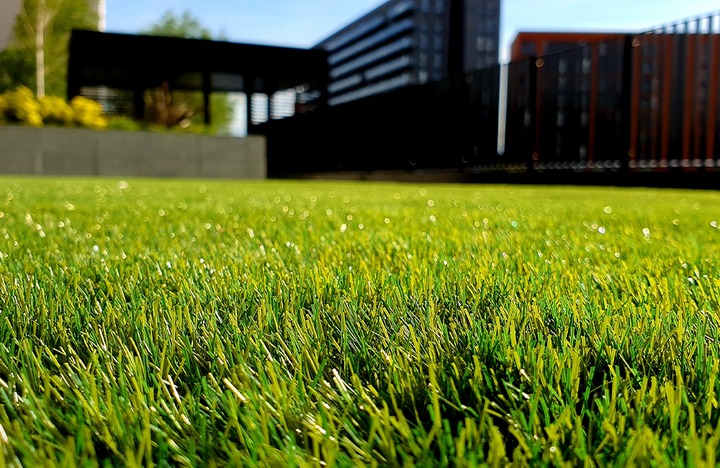 Zelf gras zaaien: zo doe je dat!