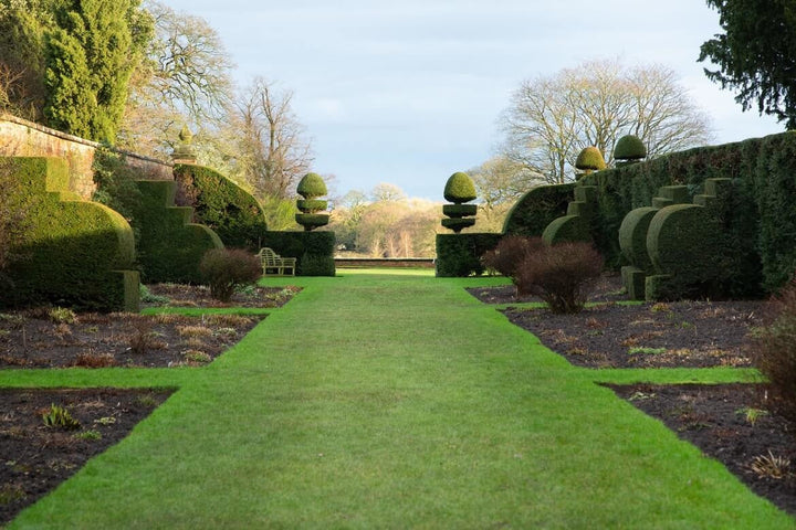 Hoe kun je het beste de tuin egaliseren?