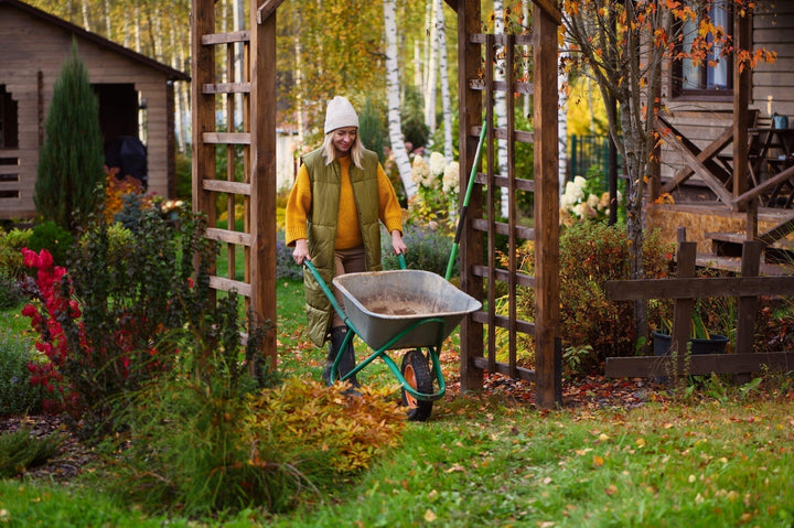 Tuinkalender oktober: Klaar voor de winter