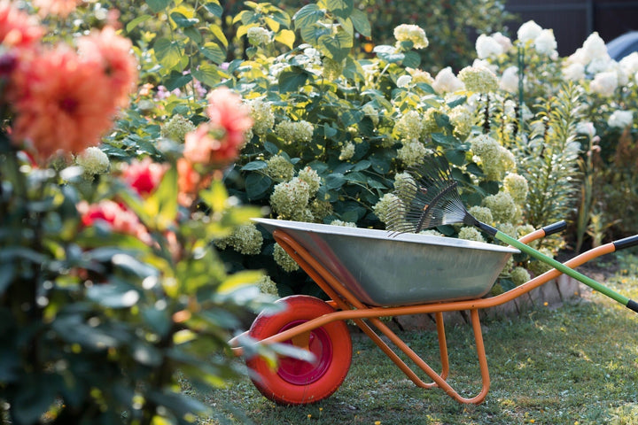 Tuinkalender september: Startklaar voor het najaar!