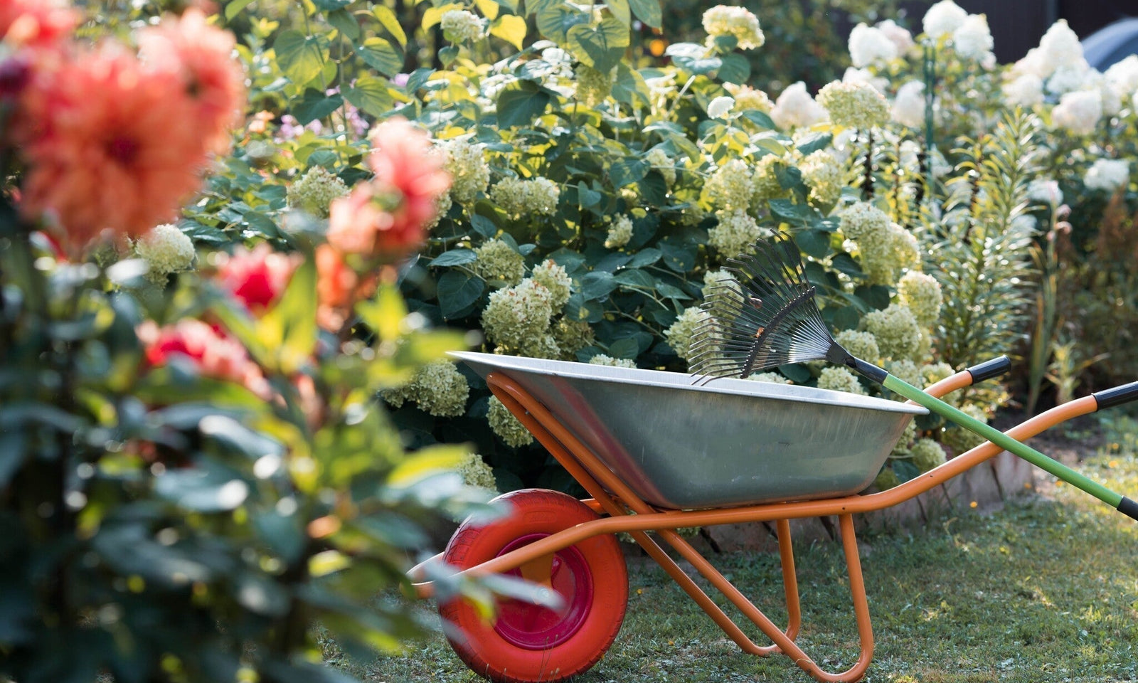 Tuinkalender september: Startklaar voor het najaar!