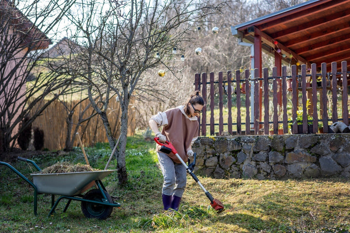 Tuinkalender februari: bereid je tuin voor op de lente!