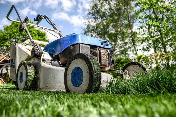 Gras maaien - Wanneer en hoe vaak?
