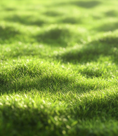 Grasmat egaliseren: praktische tips