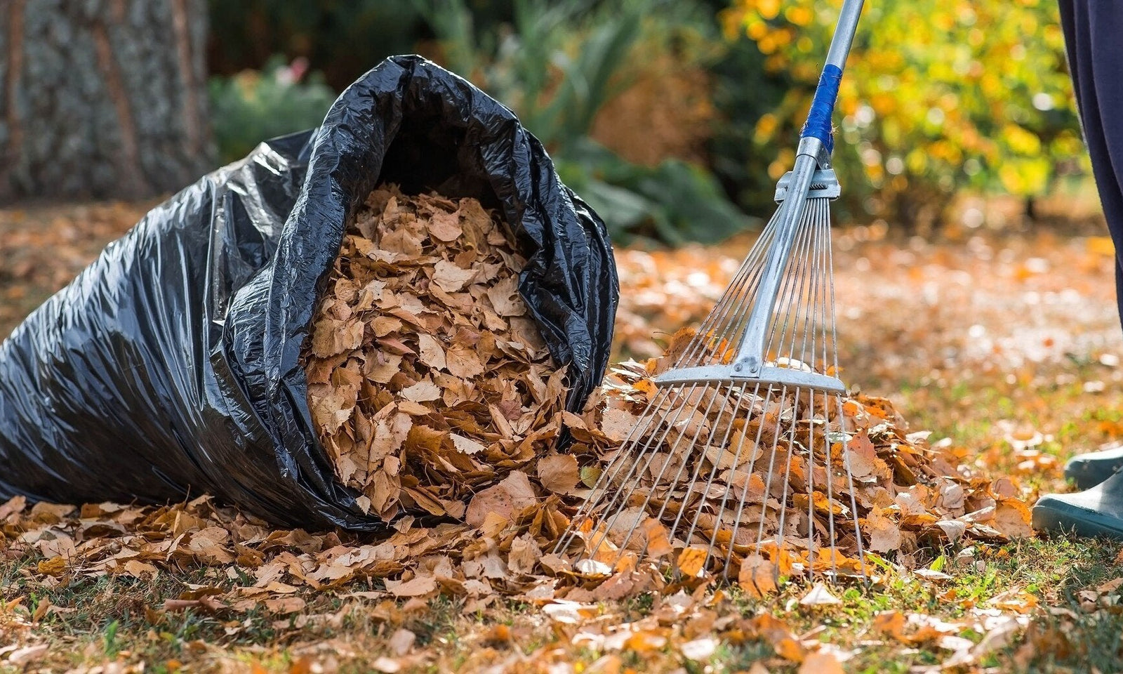 Doe het zelf: mulch maken van herfstbladeren