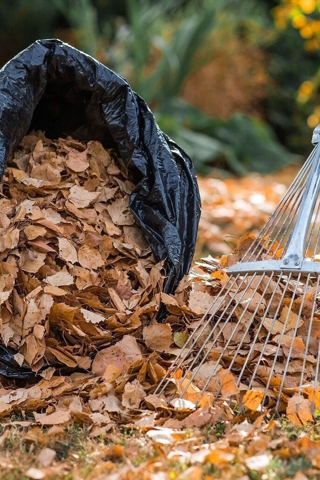 Mulch maken van herfstbladeren
