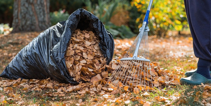 Doe het zelf: mulch maken van herfstbladeren