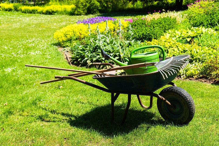 De must-have tuingereedschappen voor elke tuinier