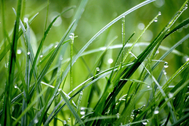 Nat gras maaien: tips & tricks