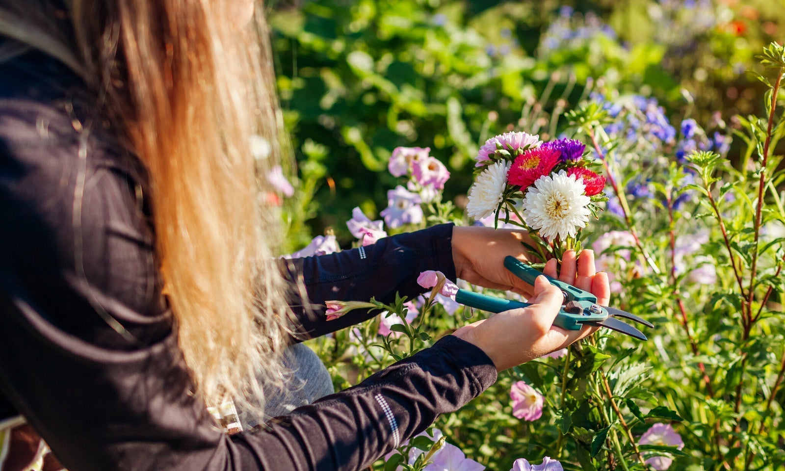 Populaire snijbloemen voor in de tuin
