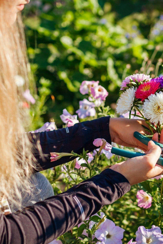 Populaire snjbloemen