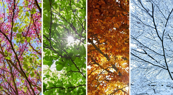 Seizoensgebonden bemesting