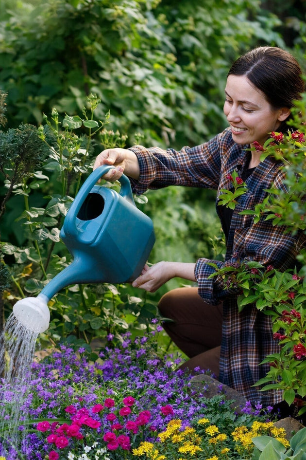 shutterstock_2470178983