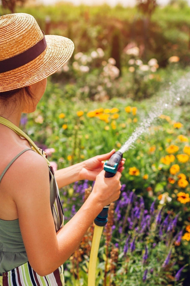 shutterstock_2480810675-min