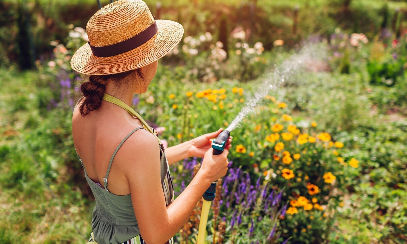 Tuinkalender juli: Tips voor een gezonde zomertuin!