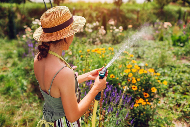 Tuinkalender juli: Tips voor een gezonde zomertuin!