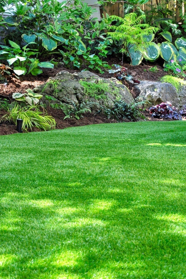 Tuin in de schaduw-min