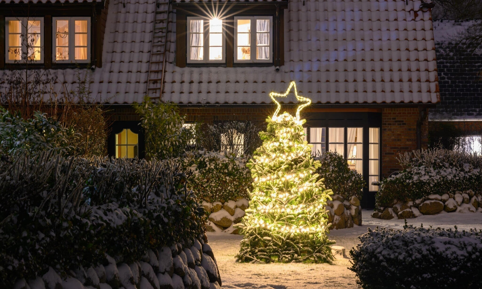 Tuinkalender december: Wat te doen in de tuin in de winter?