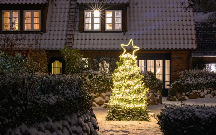 Tuinkalender december: Wat te doen in de tuin in de winter?