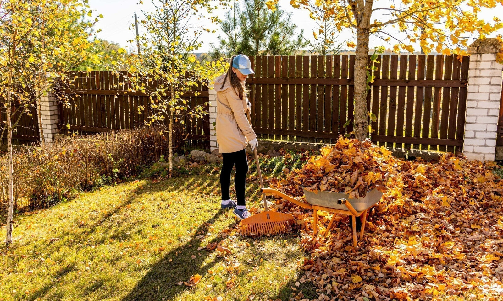 Tuinkalender november: Voorbereiding voor de winter
