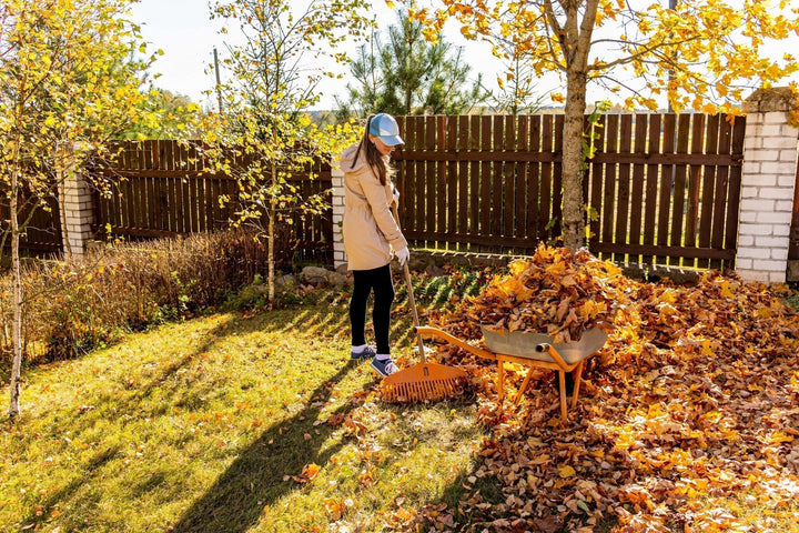 Tuinkalender november: Voorbereiding voor de winter