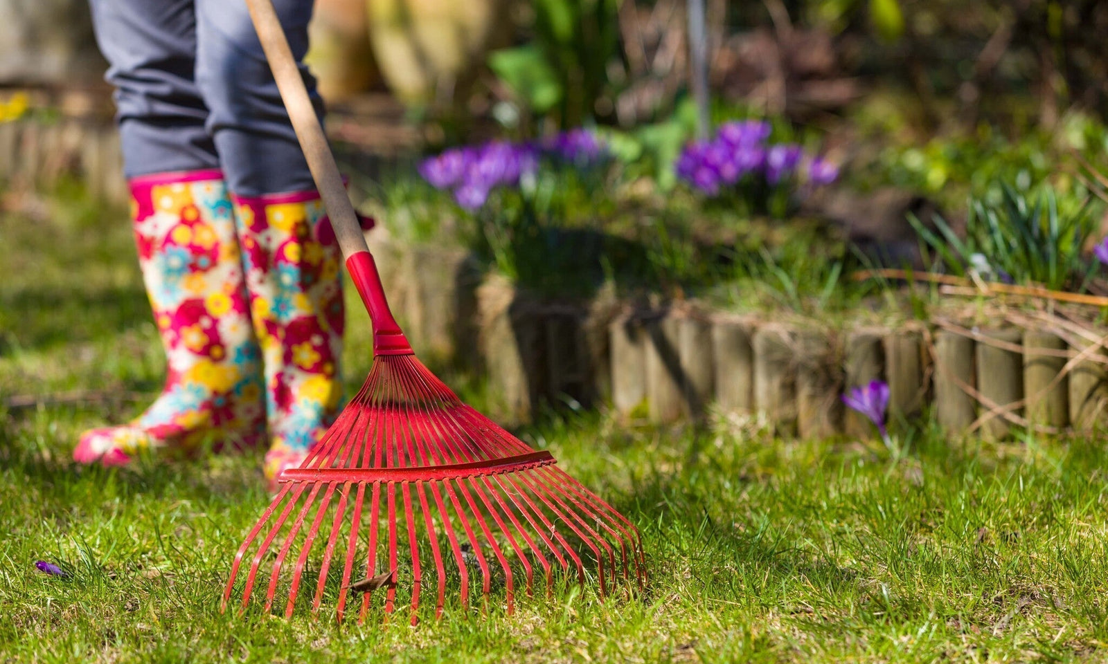 Tuinonderhoud in het voorjaar