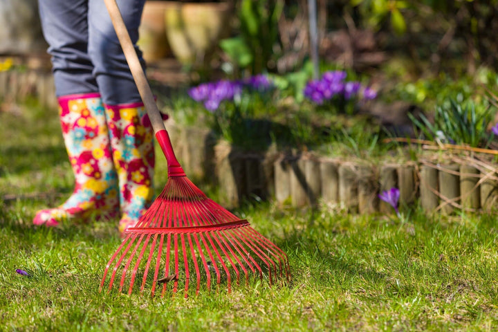 Tuinonderhoud in het voorjaar