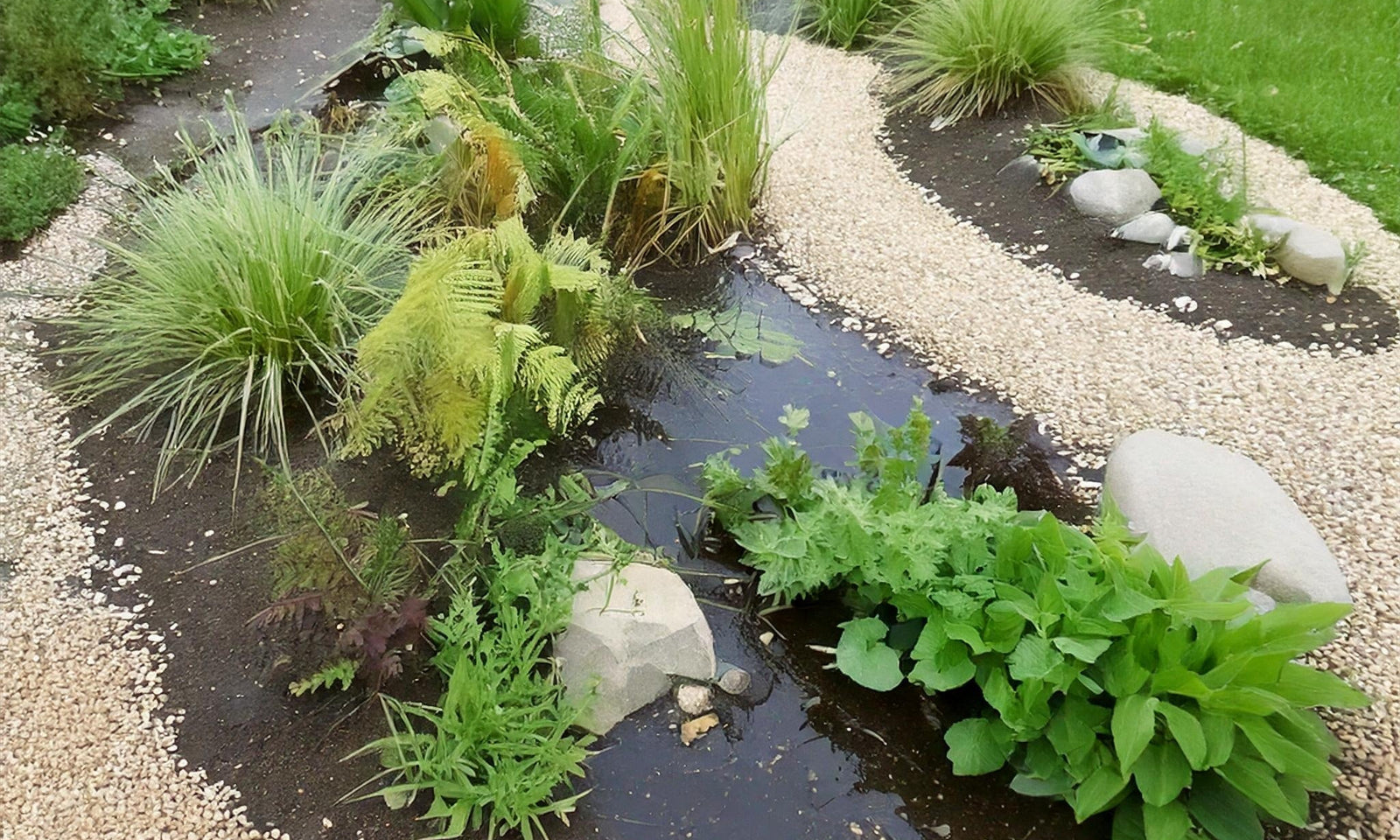 Een wadi in de tuin aanleggen