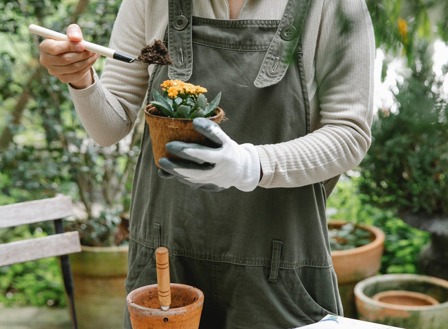 Zaaikalender bloemen