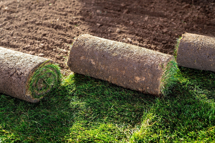 Zelf graszoden leggen