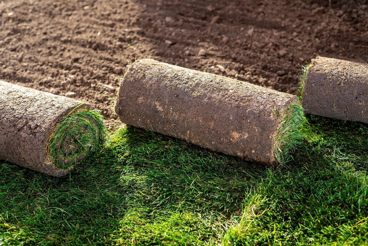 Zelf graszoden leggen