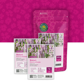 Adderwortel – Bistorta officinalis