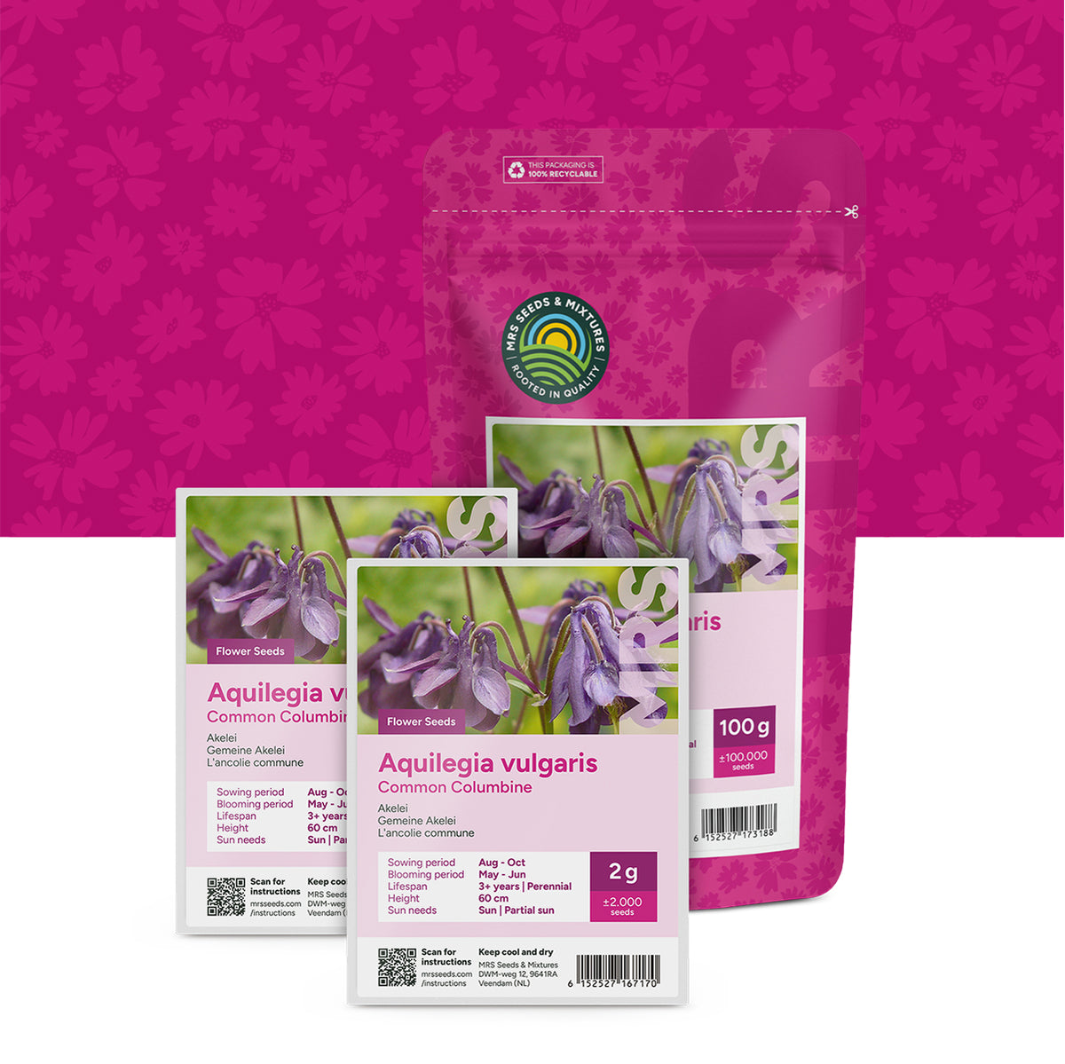 Akelei – Aquilegia vulgaris