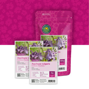 Akelei – Aquilegia vulgaris