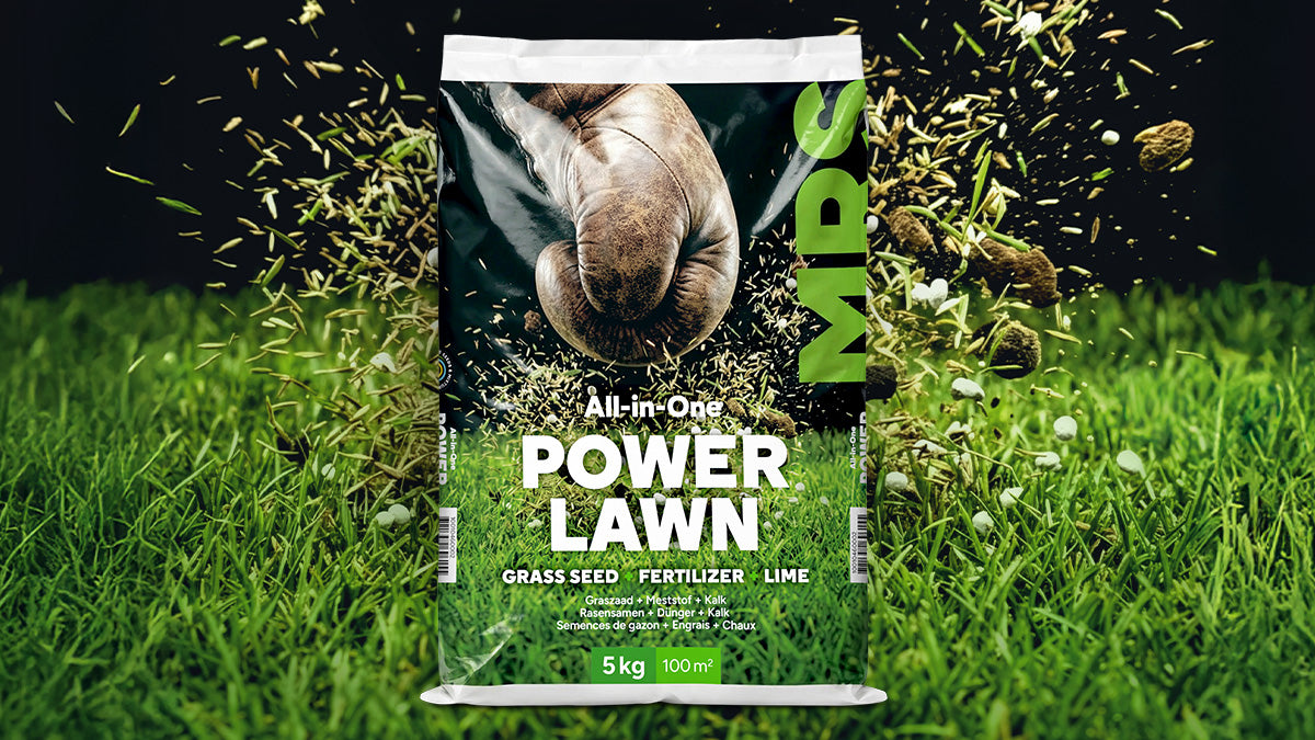 Herstel je gazon in één klap