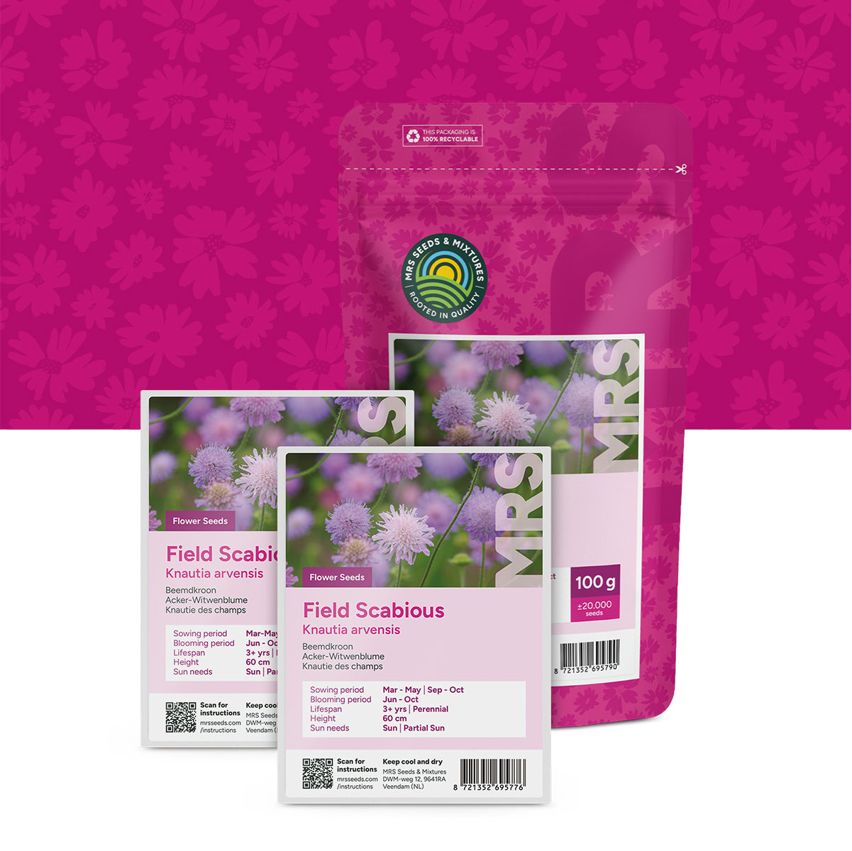 Beemdkroon – Knautia arvensis