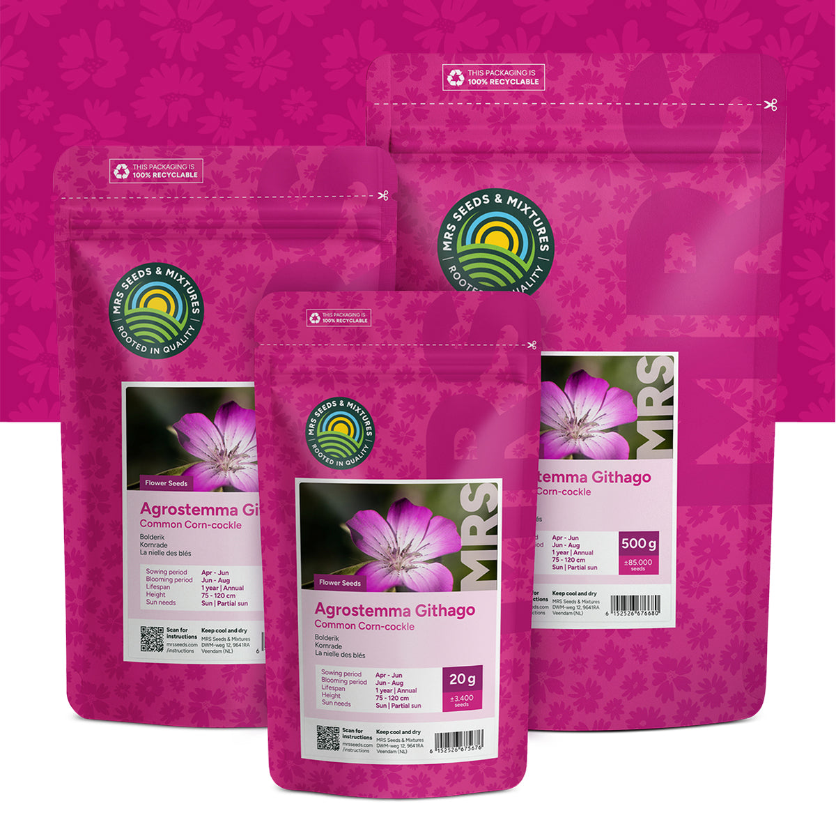 Bolderik – Agrostemma githago