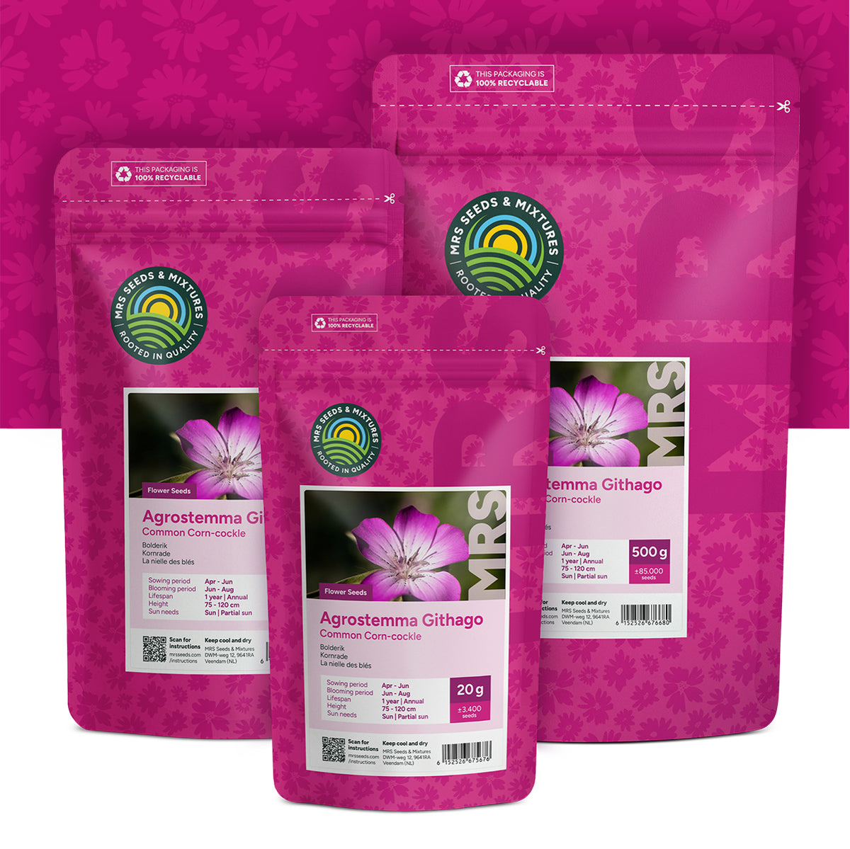 Bolderik – Agrostemma githago